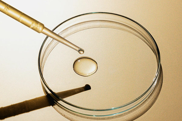 Secrets of Oriental Fragrances: How Gandour Captures Hearts